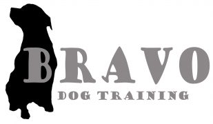 Bravo Dog Training